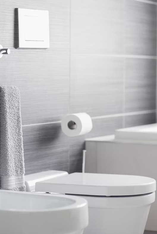 Modern toilet and bathroom interior